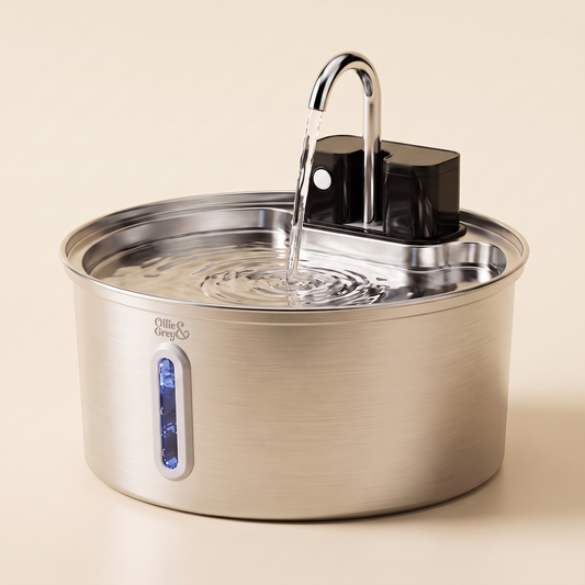 Easy Sip™ Fountain