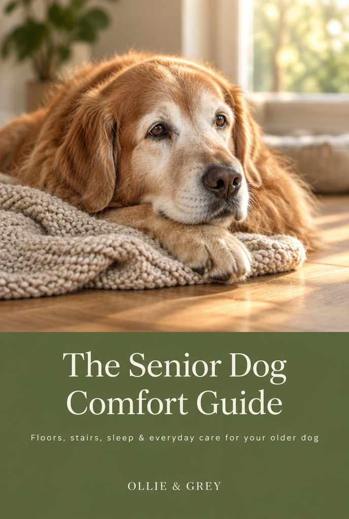 Senior Dog Comfort Guide